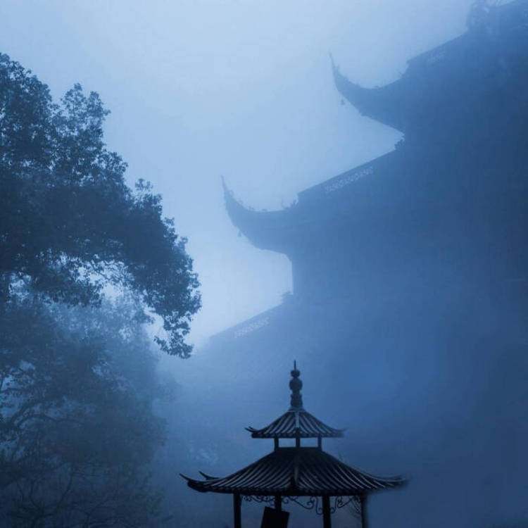 苍井优（饰 高荷惠） - 动漫新番免费在线观看 - 平板看电影